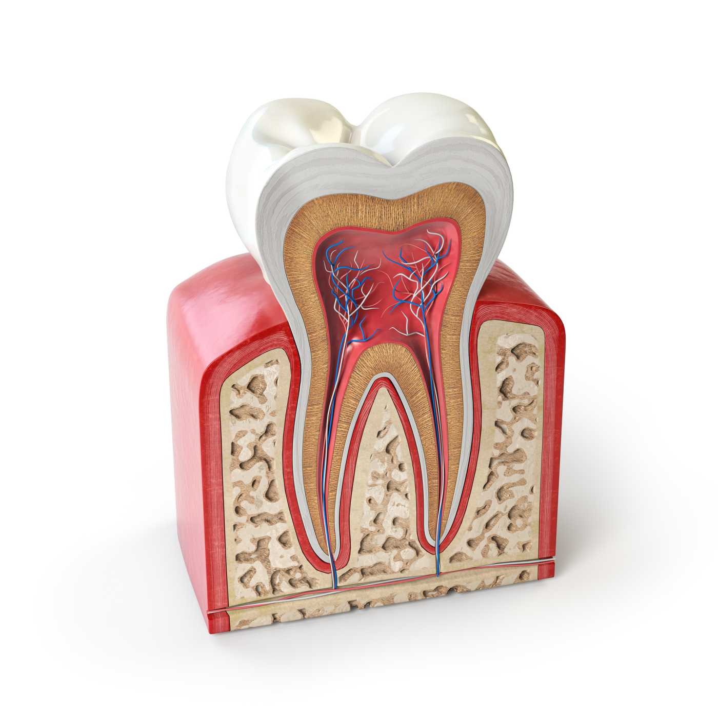 root canal treatment in Ipswich